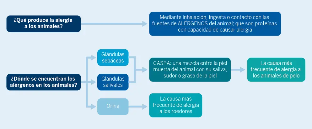 Figura 1. Causantes de alergia a los animales