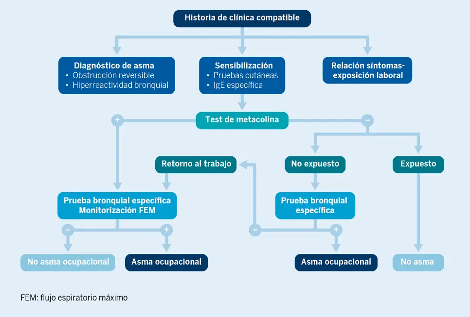 Figura 3. Algoritmo diagnóstico del asma ocupacional