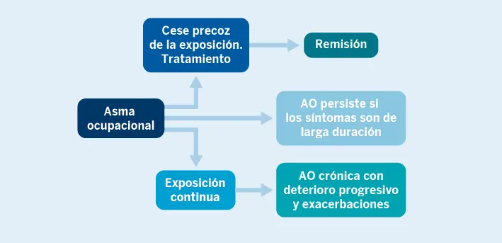 Figura 4. Evolución y pronóstico del asma ocupacional. El mejor pronóstico se observa si cesa precozmente la exposición al agente causal y se instaura un tratamiento adecuado, produciéndose en algunos casos la remisión de la enfermedad, aunque si los síntomas son de larga duración lo más probable es que el asma persista. Si continúa la exposición laboral se observará un deterioro progresivo y un empeoramiento del control del asma