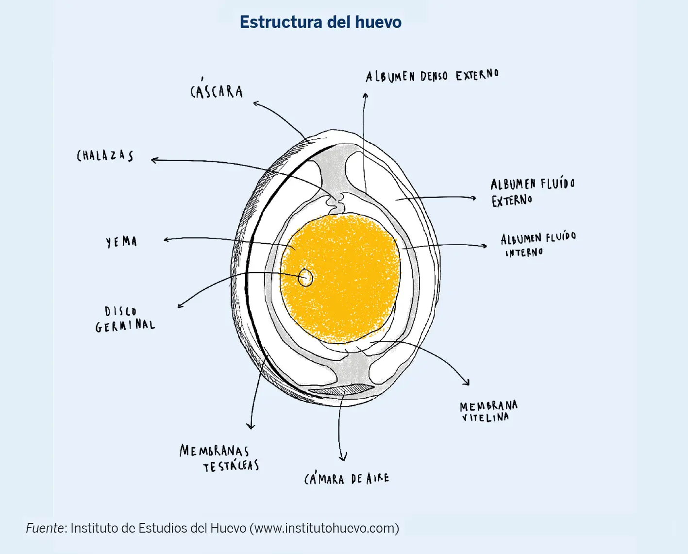 Prueba del huevo para saber si estoy embarazada hotsell