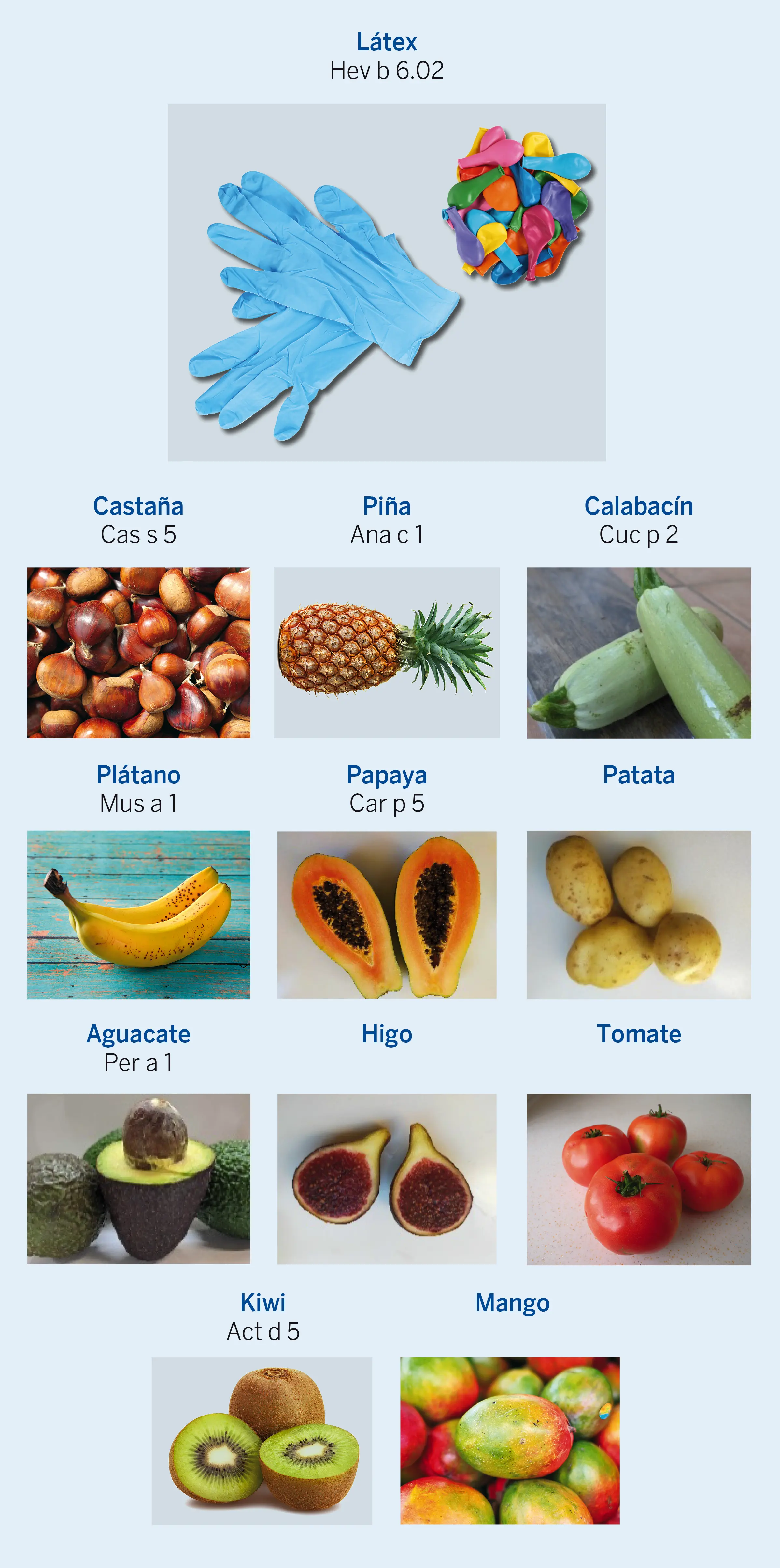 Figura 4. Reactividades cruzadas en el síndrome látex-frutas. Proteínas con identidad parcial con la heveínas del látex en distintos vegetales