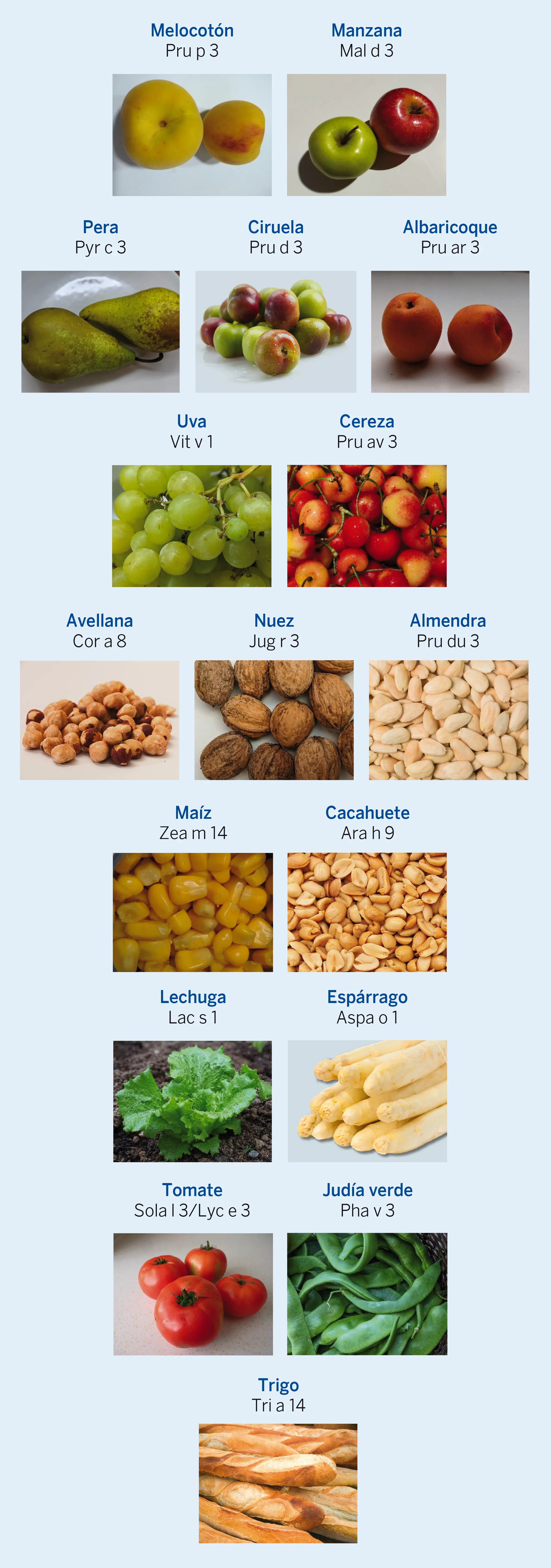 Figura 5. Reactividades cruzadas en el síndrome LTP. Proteínas de transferencia de lípidos (LTP) en distintos vegetales, en la nomenclatura internacional de alérgenos