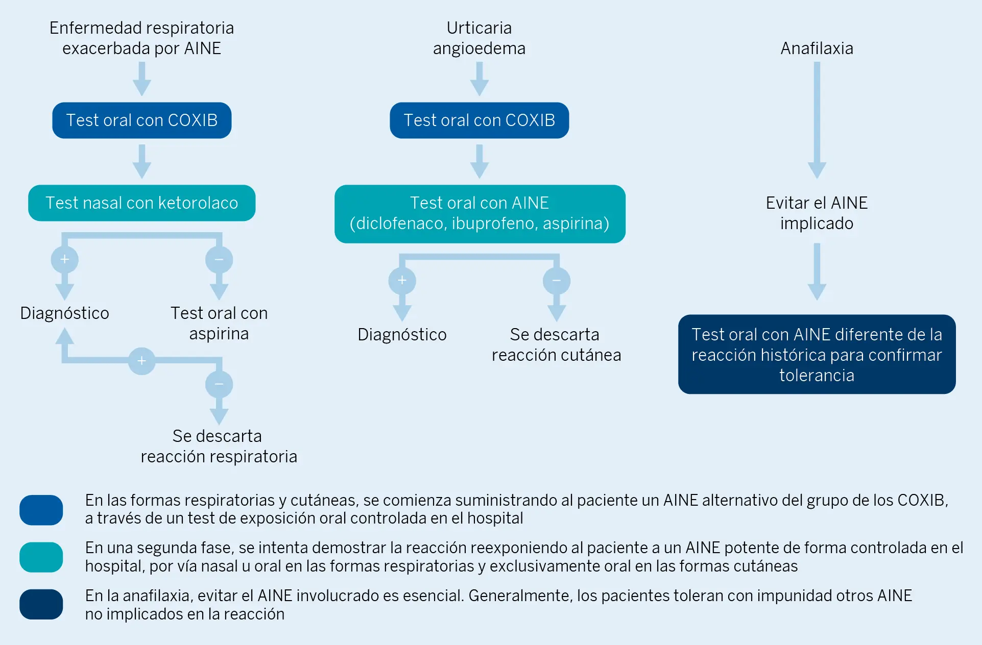 Esquemas generales de diagnóstico en la alergia a AINE