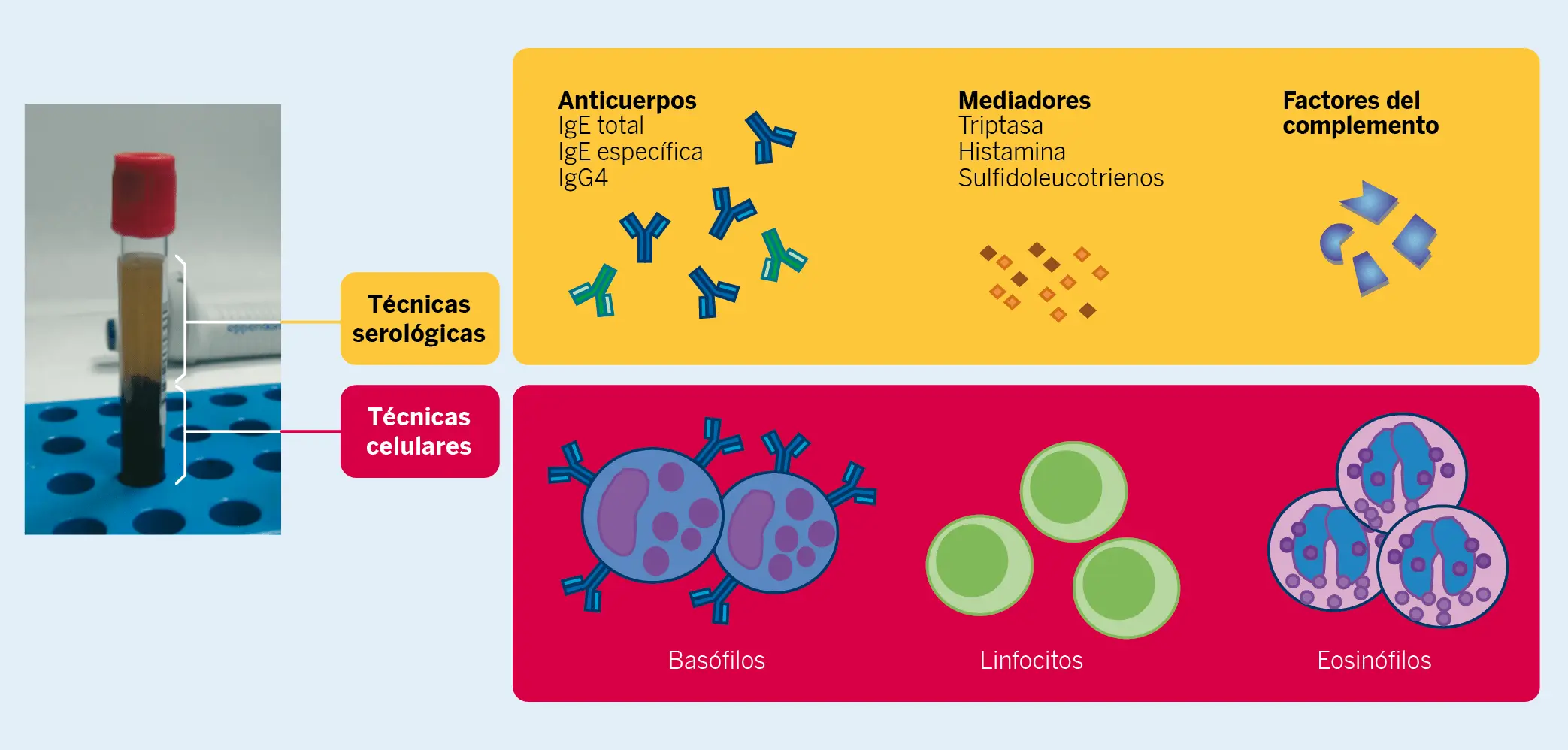 Figura 1. Técnicas serológicas y celulares