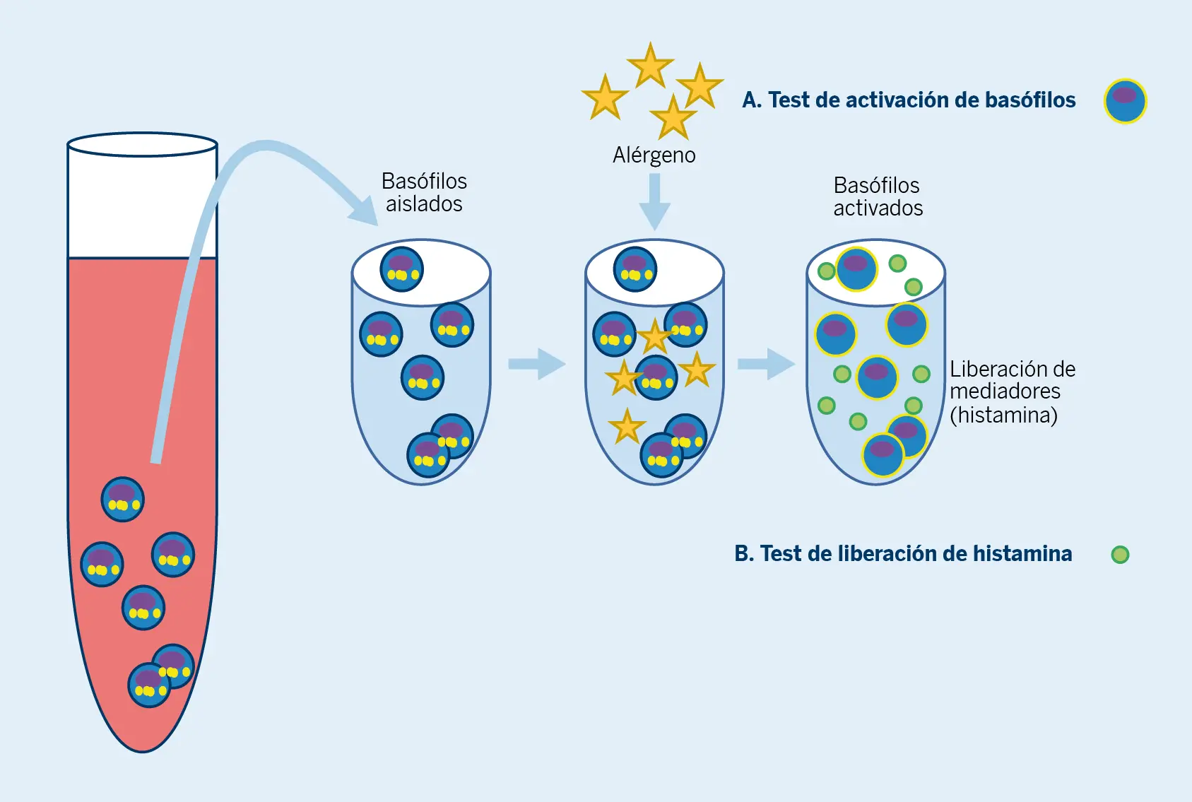 Figura 4. Test de activación de basófilos y test de liberación de histamina