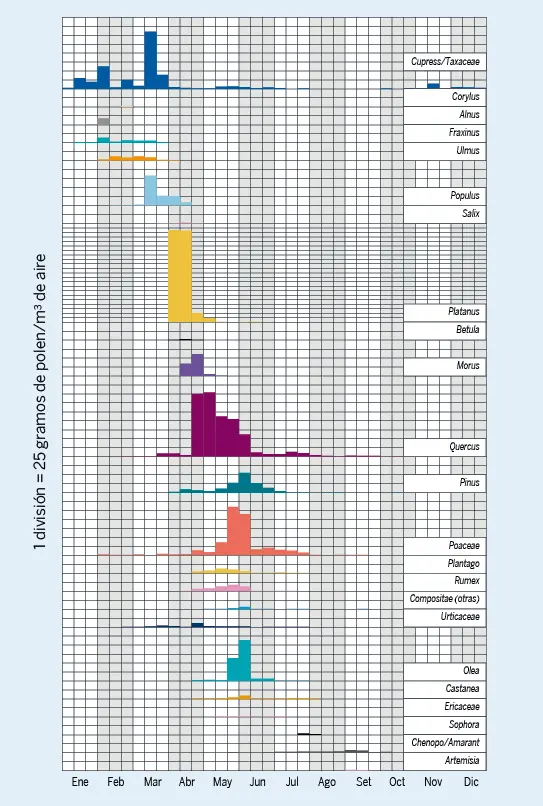 Figura 2. Calendario polínico de Madrid, donde aparecen representados los 23 tipos polínicos más frecuentes encontrados en la atmósfera de Madrid. Se han escogido solo los tipos polínicos que contribuyen al menos en el 0,4 % de los pólenes totales. Para otros calendarios polínicos de España véase: www.polenes.com