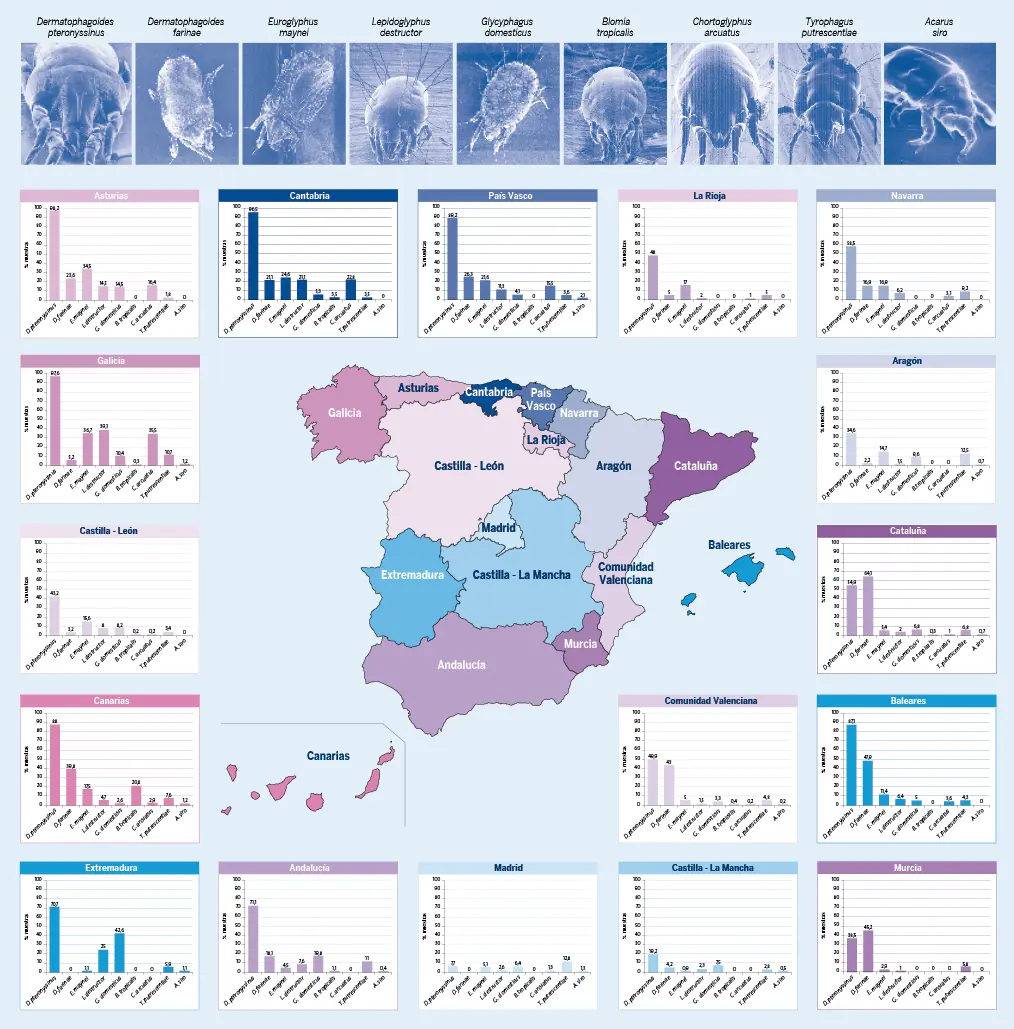 Control eficaz de los ácaros y bacterias del polvo en tu