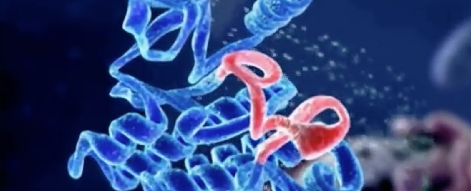 fbbva-noticias-ulrichgunther-metabolismo-cancer