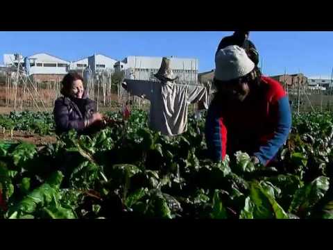 El-sociólogo-Alejandro-Portes-pone-a-España-como-ejemplo-en-la-integración-de-inmigrantes