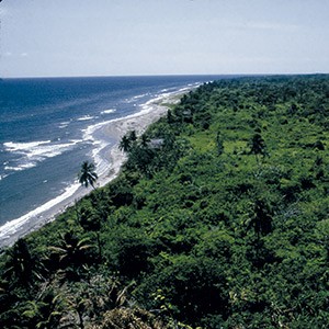 fbbva-biocon-2006-guatemala