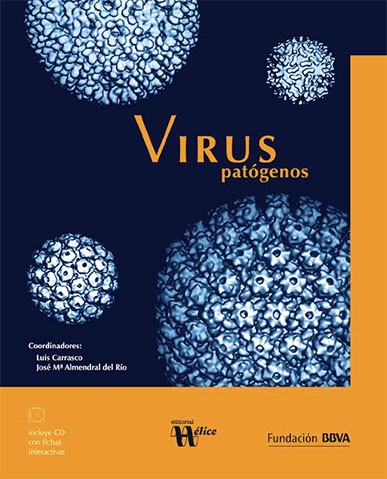 fbbva-virus-patogenos