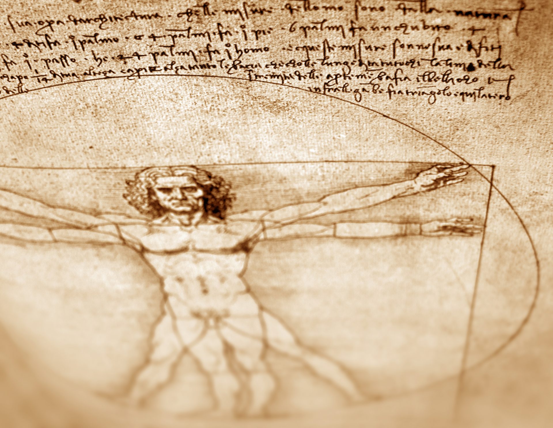Becas Leonardo