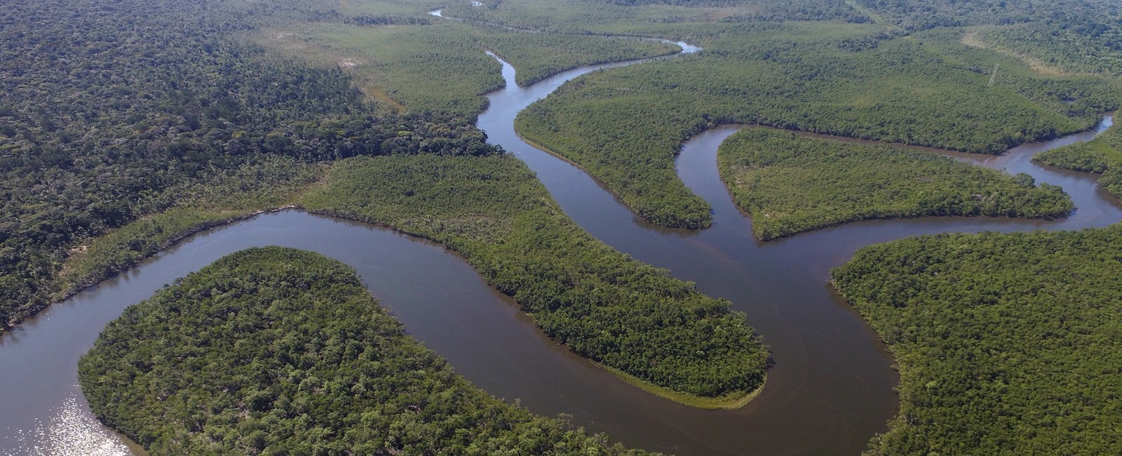 recurso-biodiversidad-rio