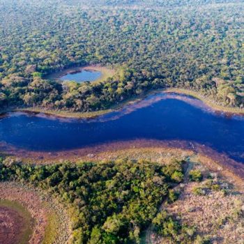 PremiosBIOCON-Vista-aérea-de-un-bosque-subtropical-de-Paraguay_427x570