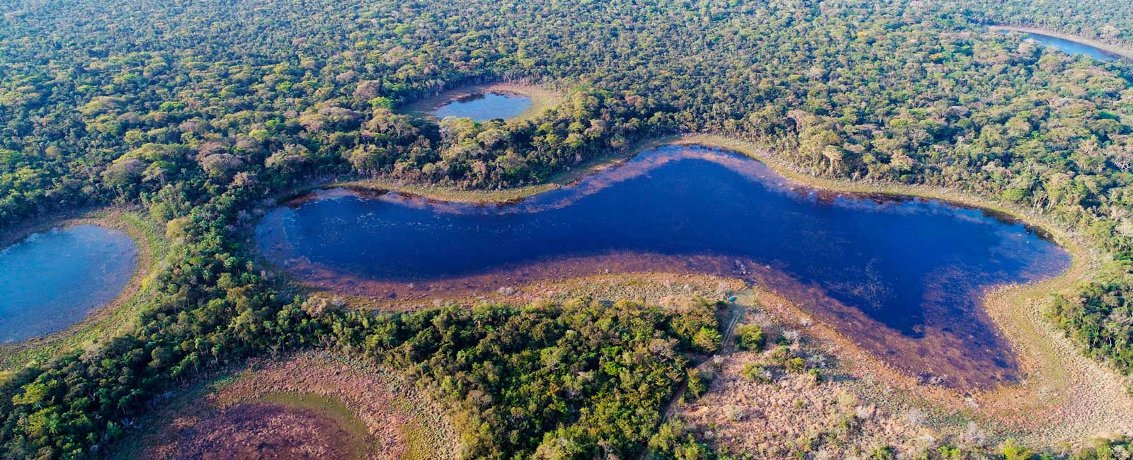Vista aérea de un bosque subtropical de Paraguay. Fundación Moisés Bertoni.