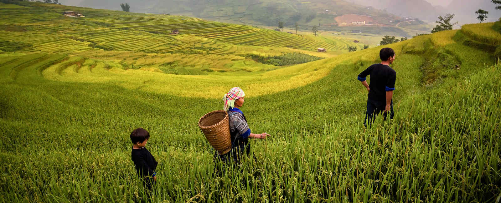 familia_indonesia_1600x650