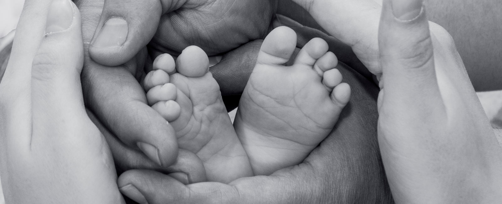 shdemography_today_mikko_1600x650