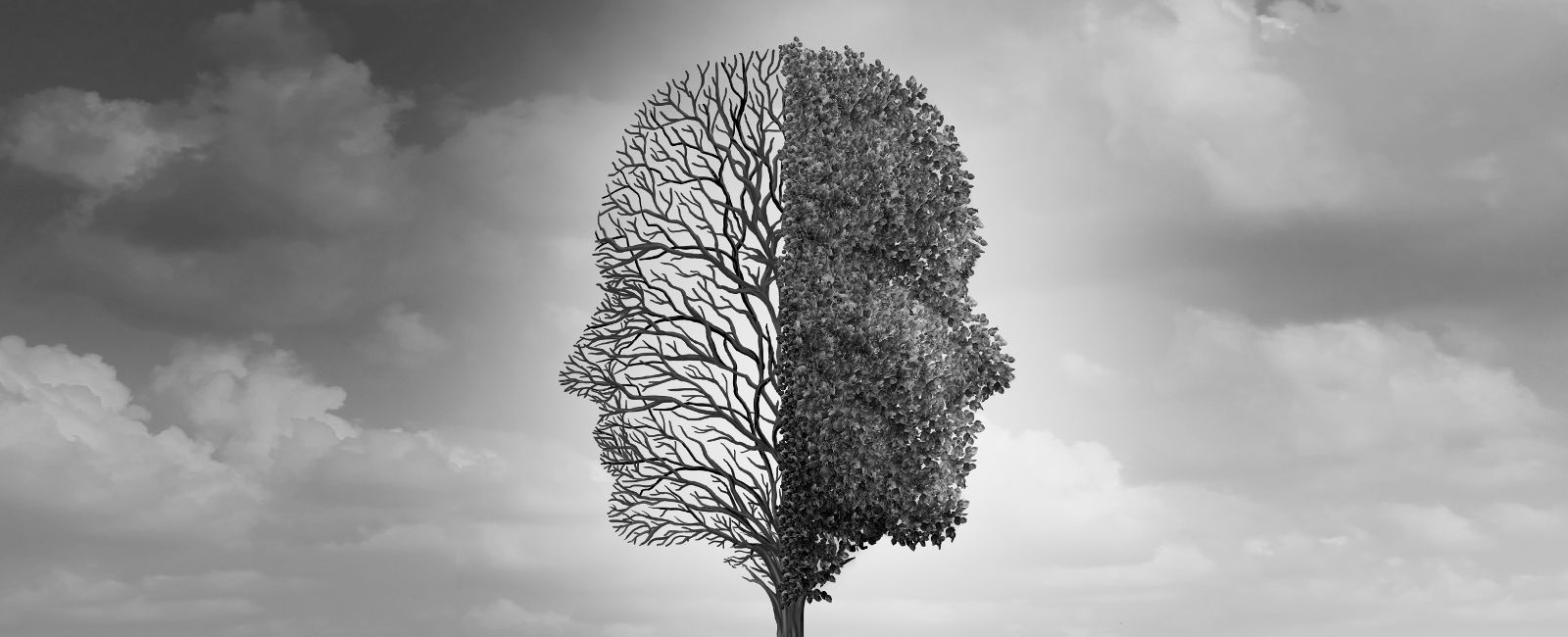 salud_mental_1600x650