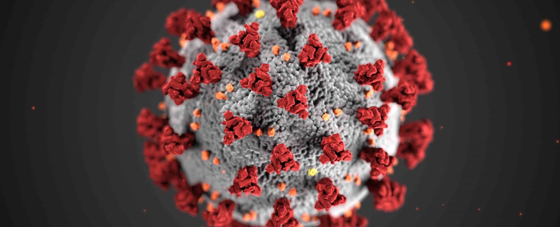 Ilustración de Sars-CoV-2, coronavirus de la Covid-19. Alissa Eckert, MS; Dan Higgins, MAMS/CDC