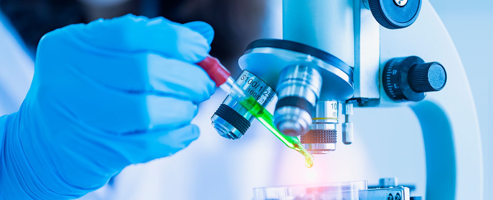 Primer plano de la mano con guante quirúrgico de un científico soltnado un líquido verde con un cuentagotas en una placa de Petri para examinarlo al microscopio.