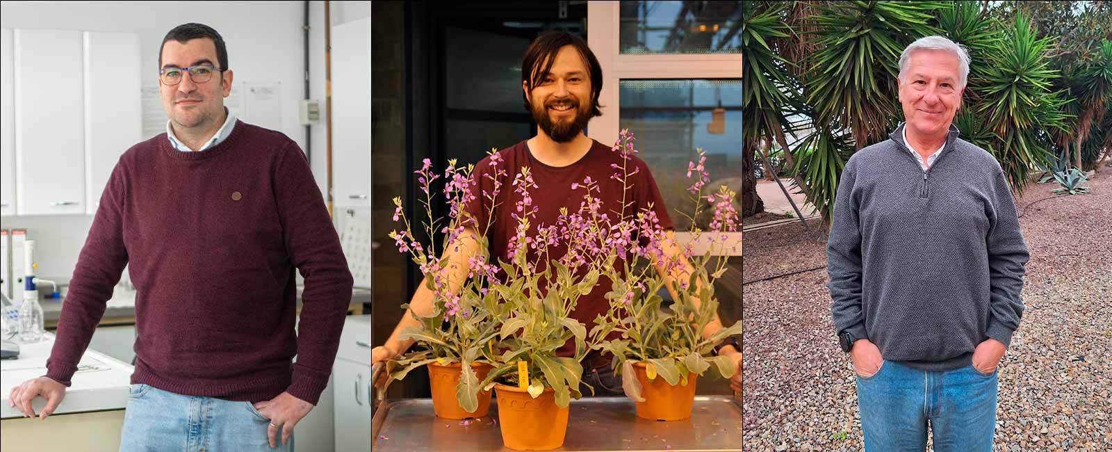 Manuel Delgado Baquerizo, Instituto de Recursos Naturales y Agrobiología de Sevilla (CSIC); Francisco Ignacio Pugnaire de Iraola, Estación Experimental de Zonas Áridas (CSIC); Rubén Torices Blanco, Escuela Superior de Ciencias Experimentales y Tecnología (Universidad Rey Juan Carlos)