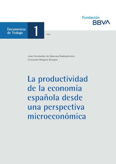 DE_2025_DT_1_2025_productividad-economia-espanola-perspectiva-micro