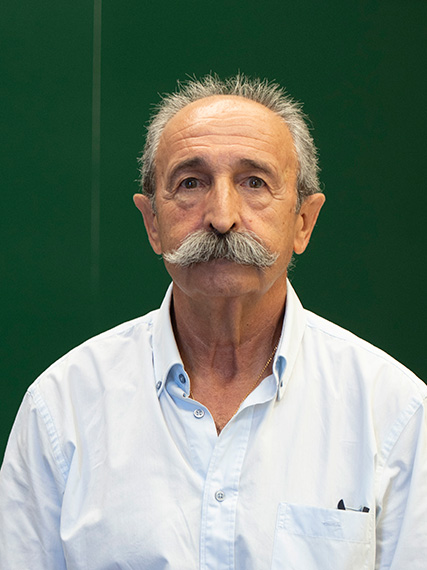 Ángel Ferrández Izquierdo, Medalla de la Real Sociedad Matemática Española 2025